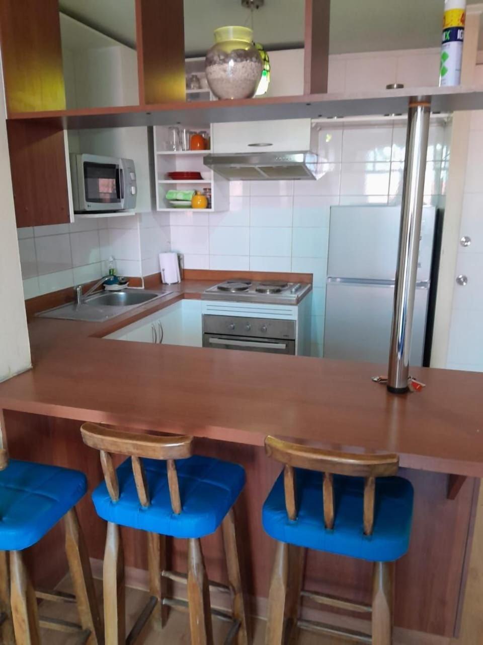 Bellavista Apartrent Santiago Exterior foto